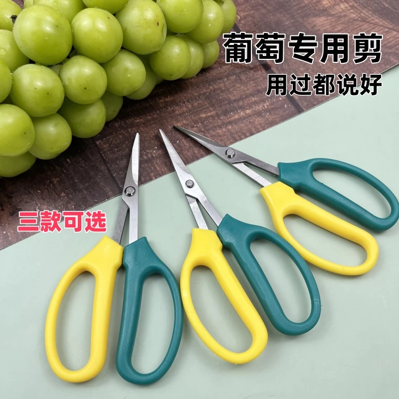 葡萄剪稀果剪采摘翘头翘嘴平直剪刀水果剪蔬果剪尖头园艺小剪