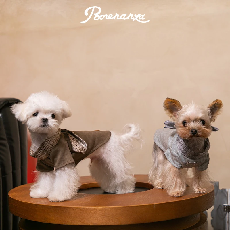 Bonennaza｜Jazz Ball爵士舞会塞纳序语T恤