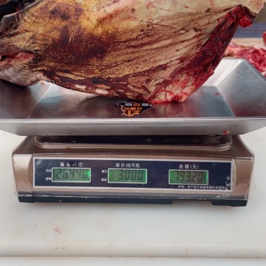 【闪购商品】冷冻保存30天包装河北省