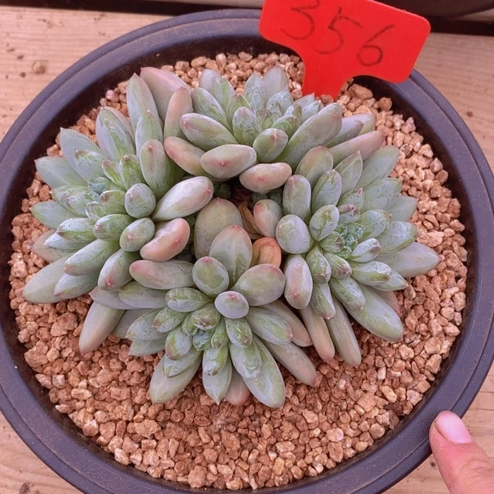 是吗这不还没有下班我要