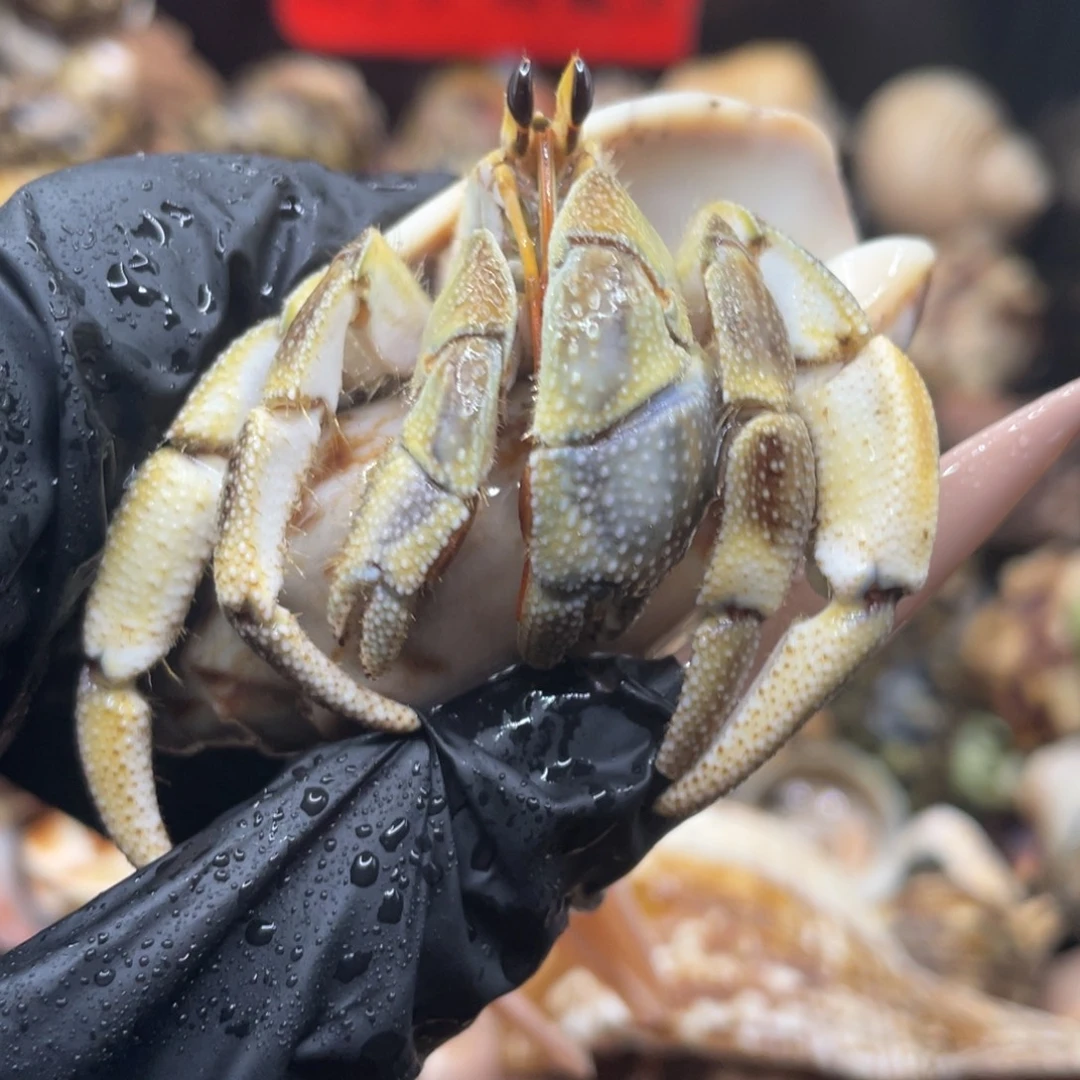 不退不换谢谢支持8