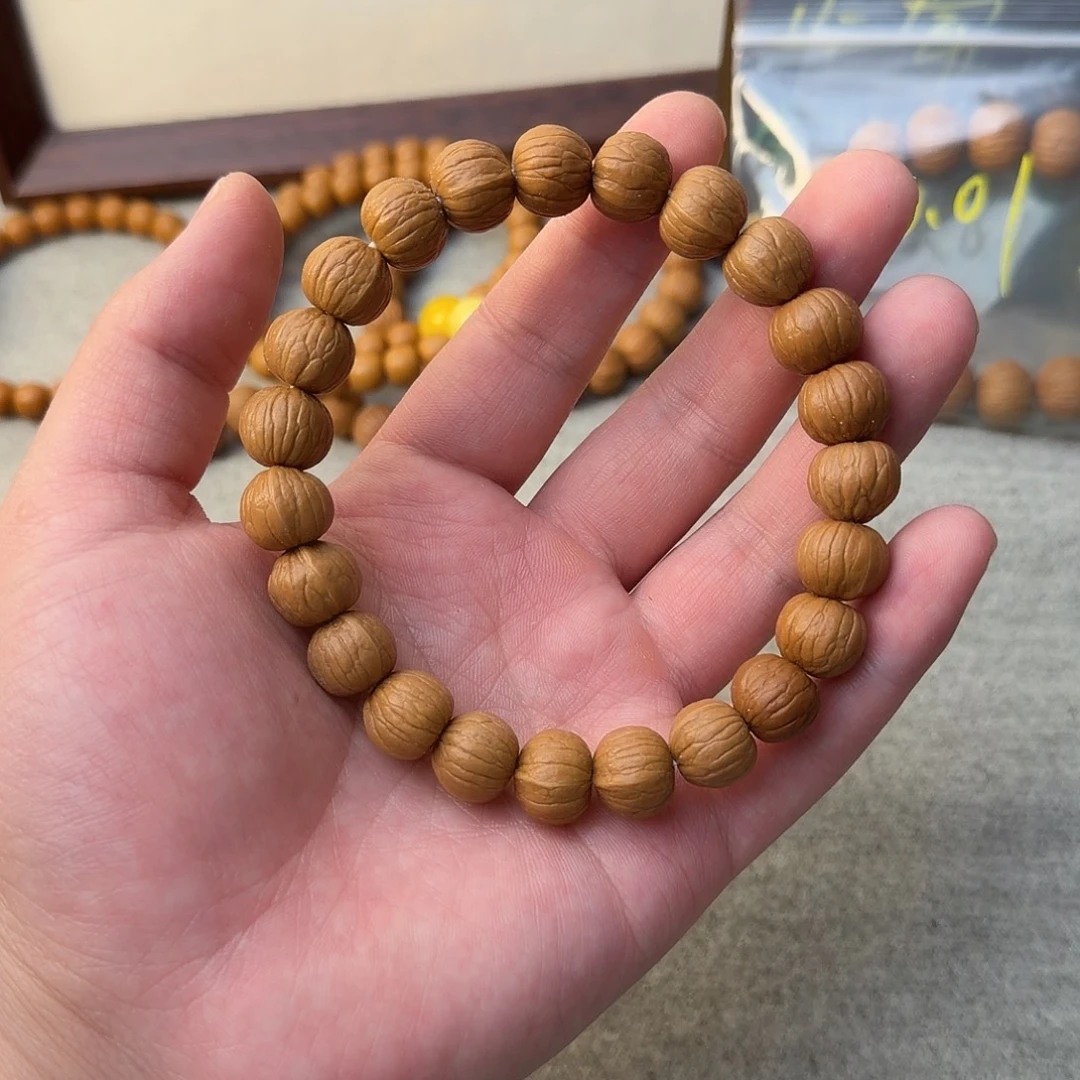 13双鳍小南瓜原皮竞拍