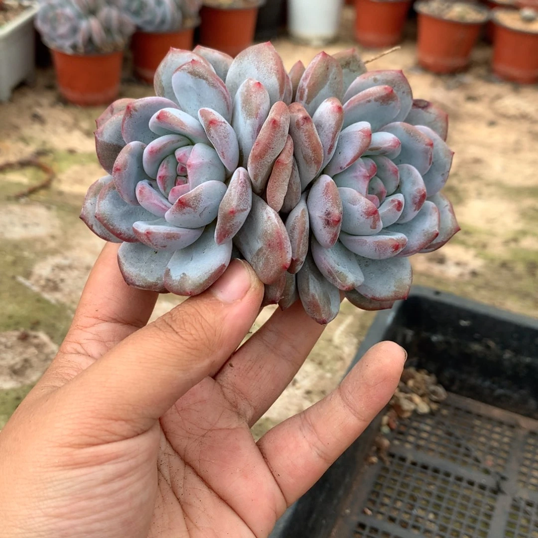 哈哈哈哈哈哈哈哈哈哈