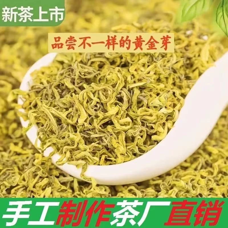 手工黄金芽2025年新茶雨前黄金芽嫩芽浓香耐泡豆香
