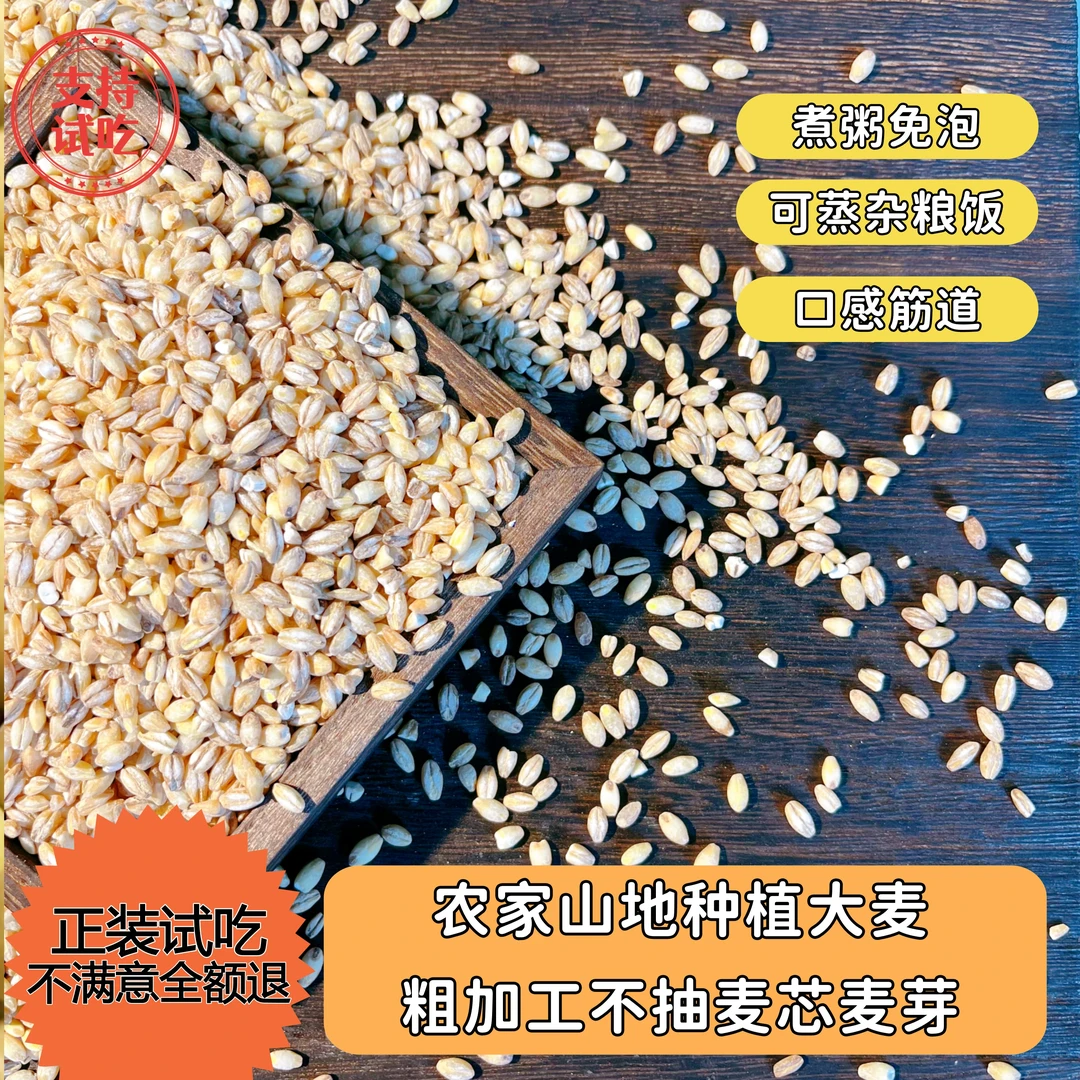 【25年新麦仁】精选大麦仁当季农家自种天然健康熬粥粗粮早餐营养粥