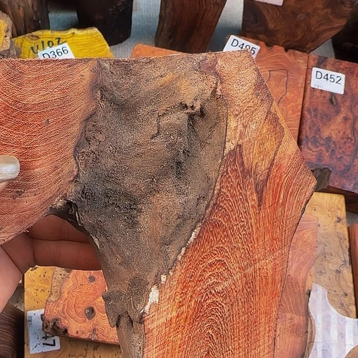 木老****装小叶羊蹄甲树根料子