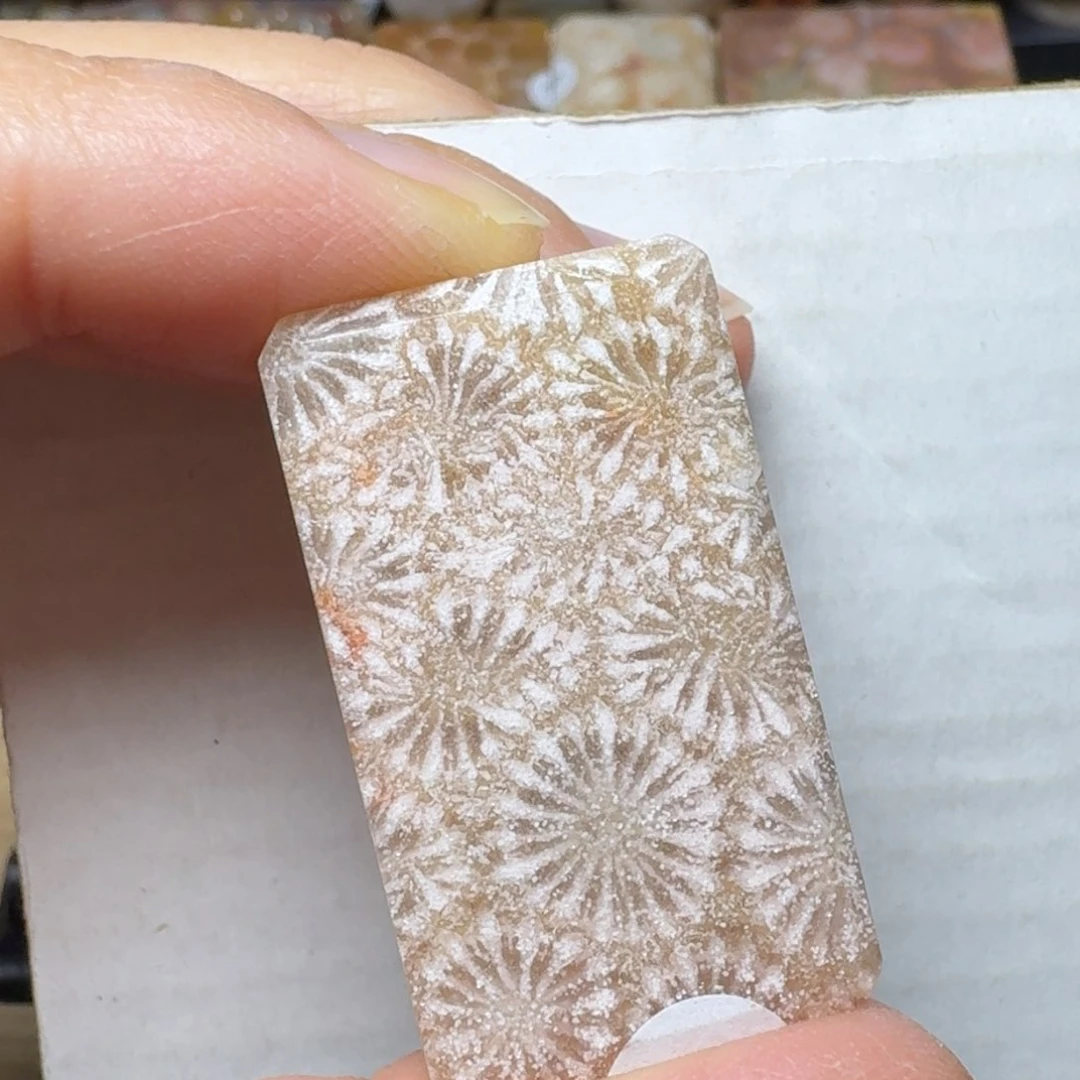 硅化玉感时花溅泪未镶嵌