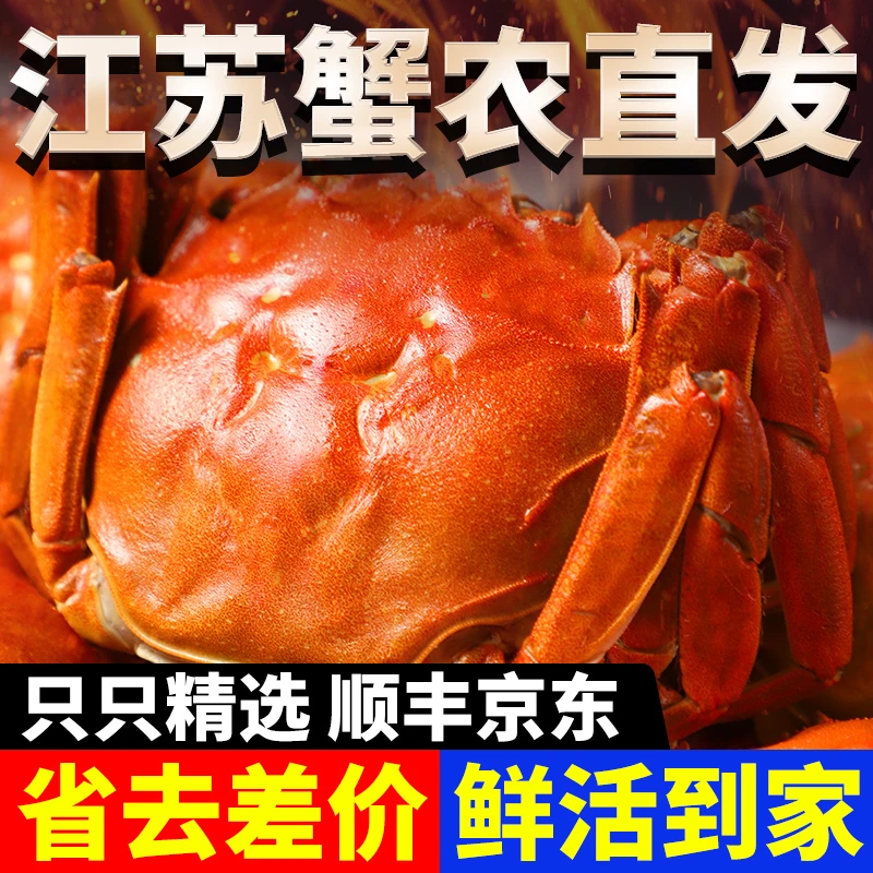 【买6送4到手10只】精选活蟹顺丰京东包邮洪泽湖河蟹1.4-1.7两蟹农直发鲜活螃蟹现捞现发精品公蟹海鲜