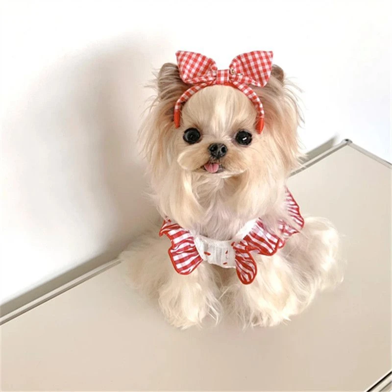 敲美的小裙子!清新可爱小型犬泰迪比熊猫咪博美碎花连衣裙春夏装