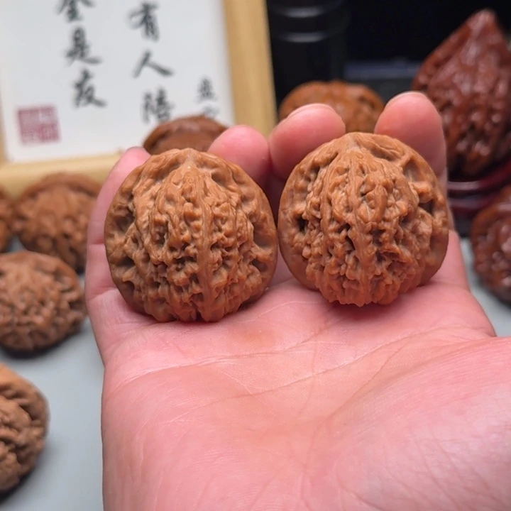 39尺正版逐鹿南疆石