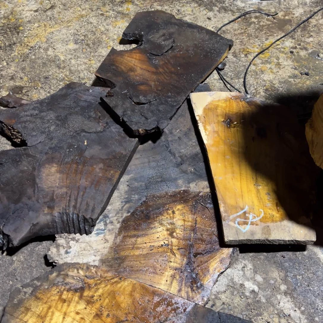 金丝楠2222222222222