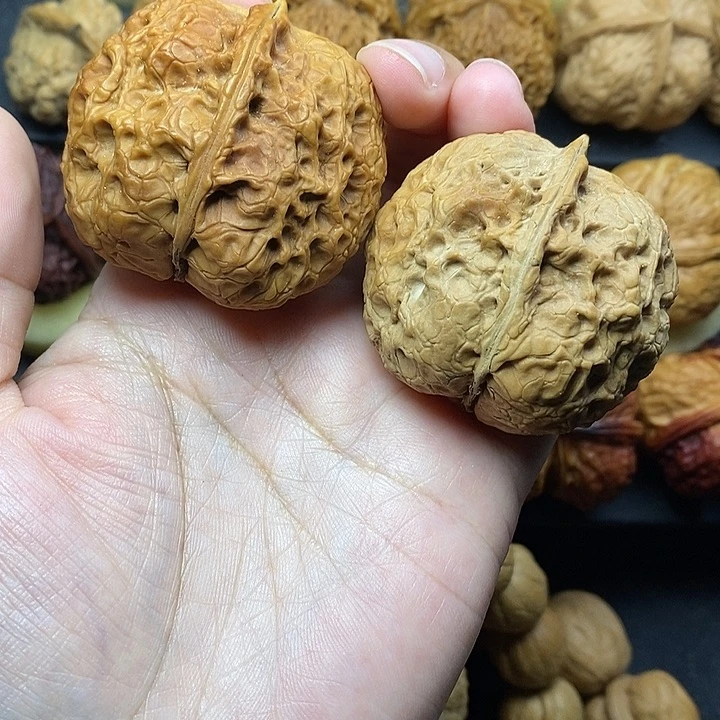 吊坠桃核抖***筒霸王龙46尺