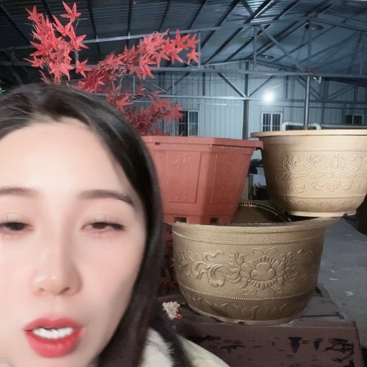 八角80补差价换花盆