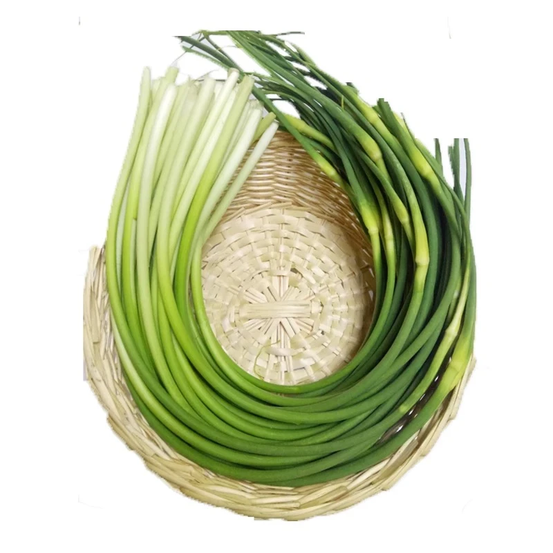 白帽蒜苔长度40cm+山东苍山本地一斤三斤五斤蒜薹口感新鲜脆嫩