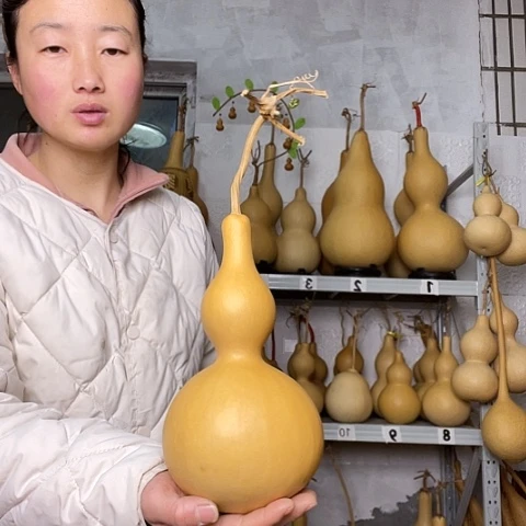 天然植物葫芦文玩