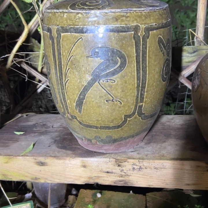 ┕***┑种花一物一拍包邮