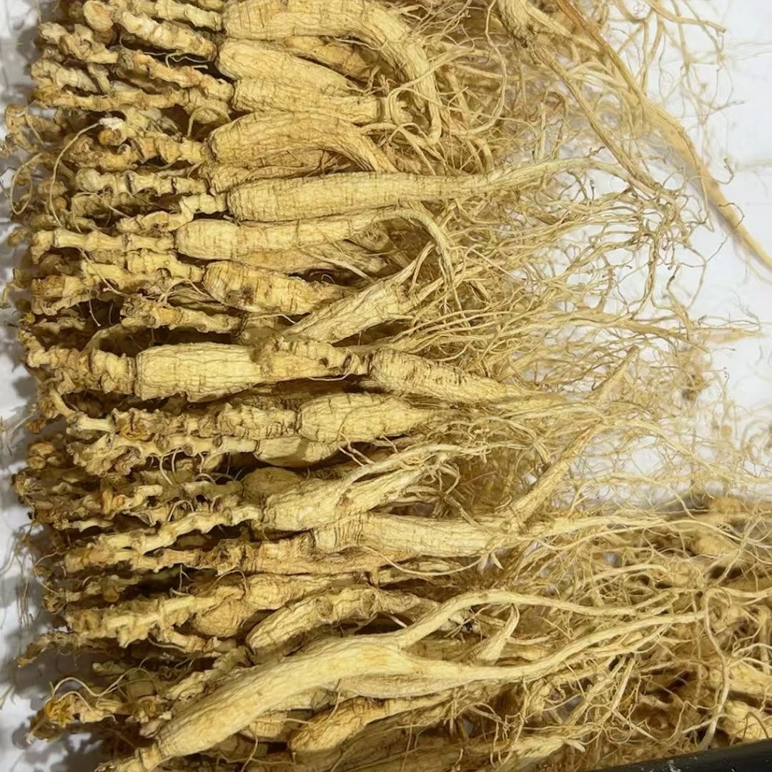 长白山林下参干参老货高年头