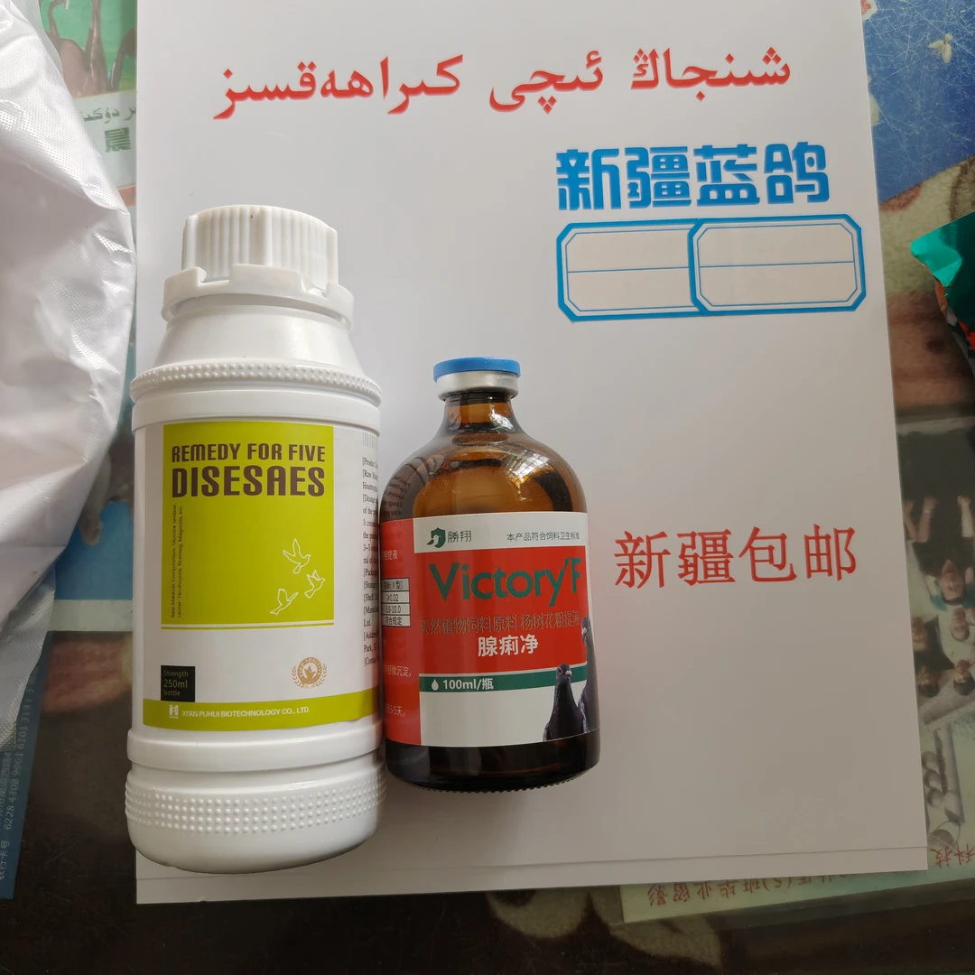 新疆蓝鸽 抗五康+腺痢净 信鸽保健品鸽子用品