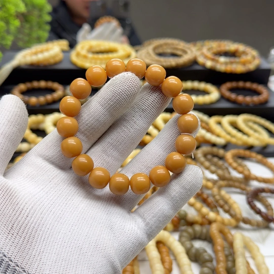 【闪购商品】菩提根/象牙果吊坠卡13精工 11年