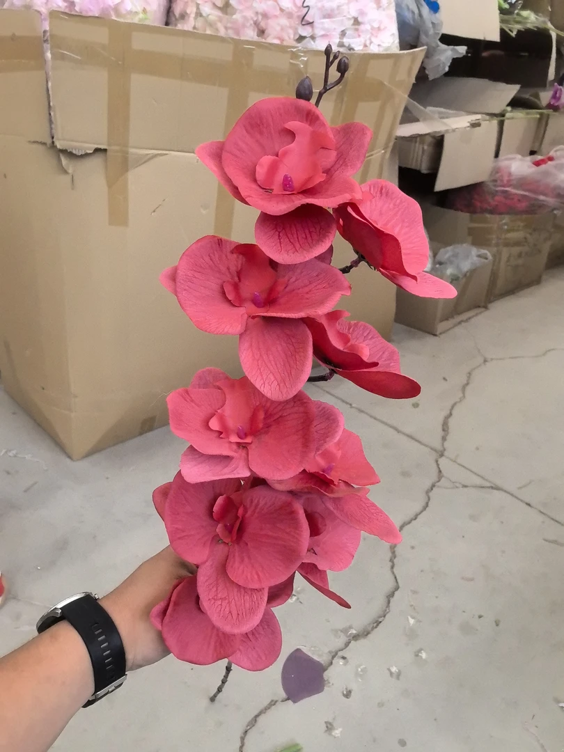 9头蝴蝶兰酒红仿真花