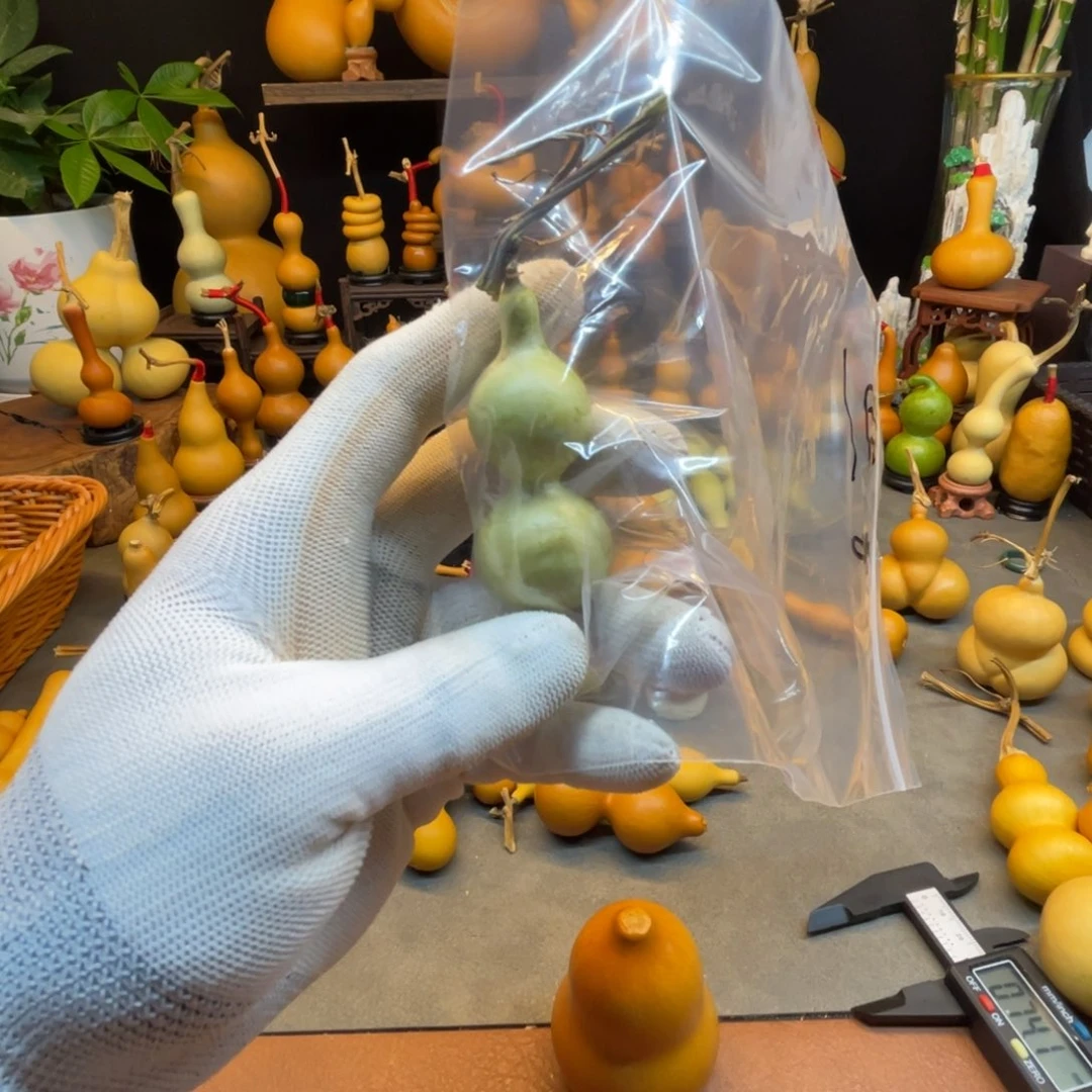 熙***嘻柒寶直播专属链接