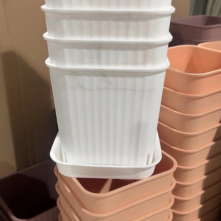 14方白色5个带托盘