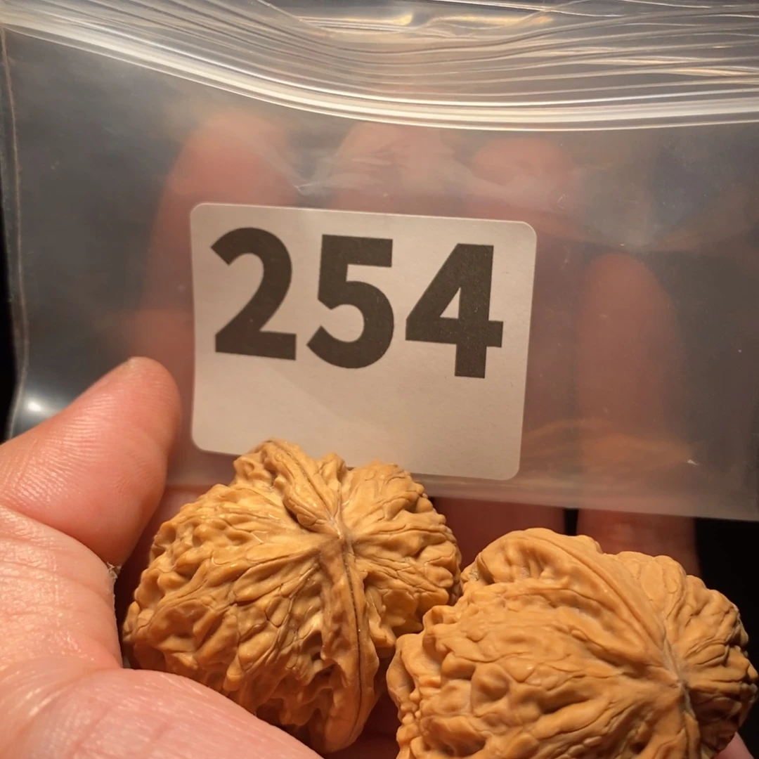 文玩核桃把件文玩核桃把件