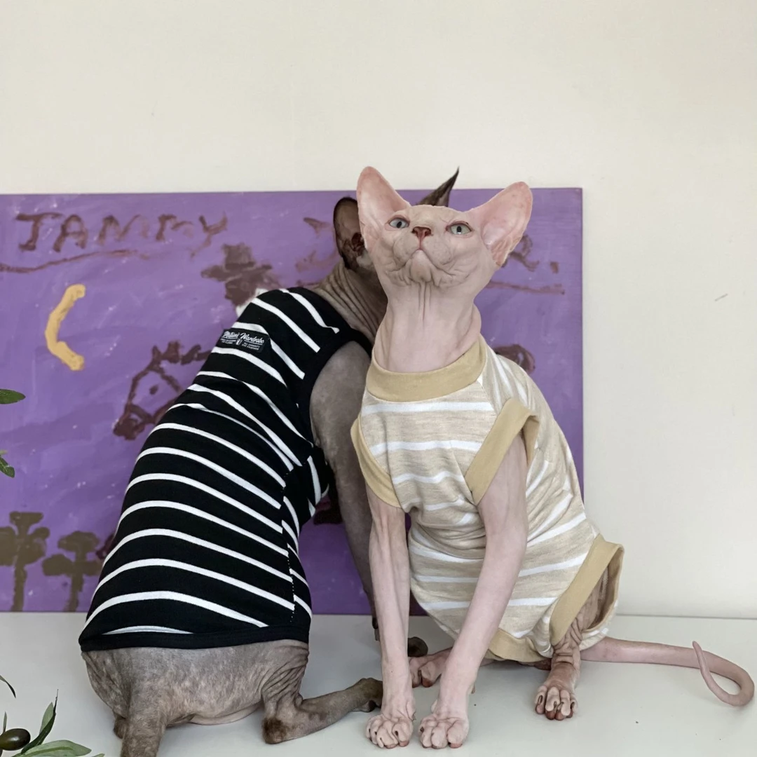 无毛猫衣服夏季薄款吊带棉护肚四脚空调房斯芬克斯德文猫衣服