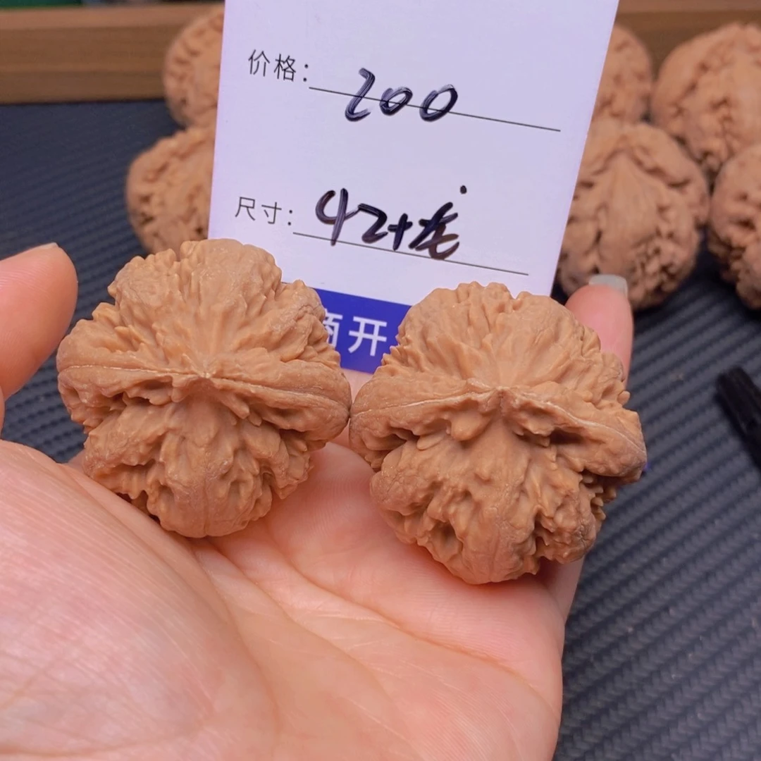文玩核桃霸王龙核桃
