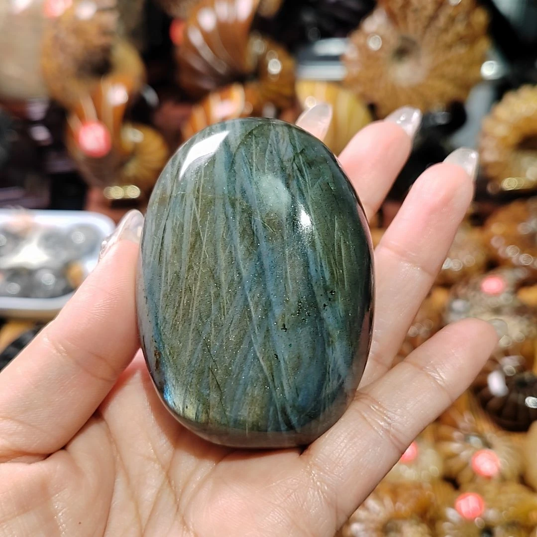 霖*海螺化石手把件