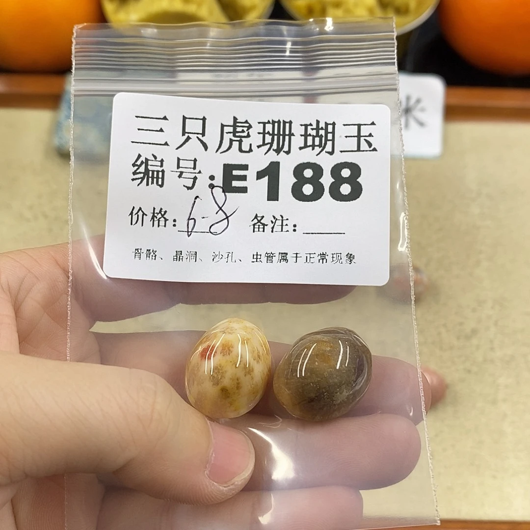 硅化珊瑚(珊瑚玉)1未镶嵌祖****盛