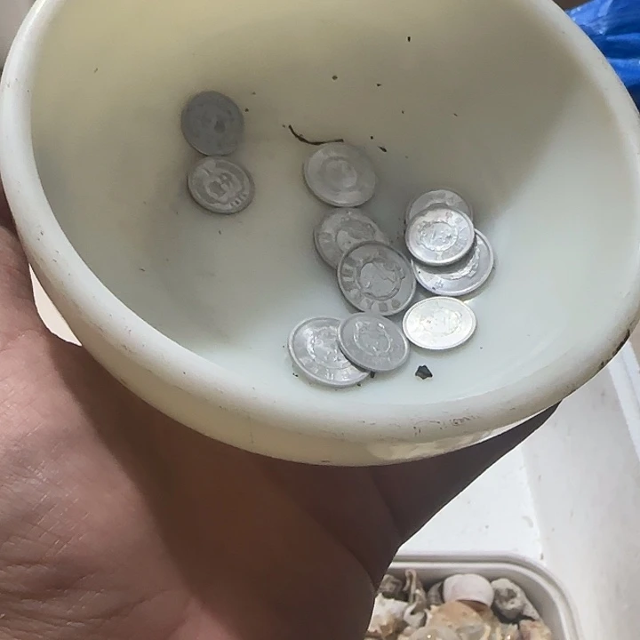 橄榄核其他禅**尘Ghghghghgggggg