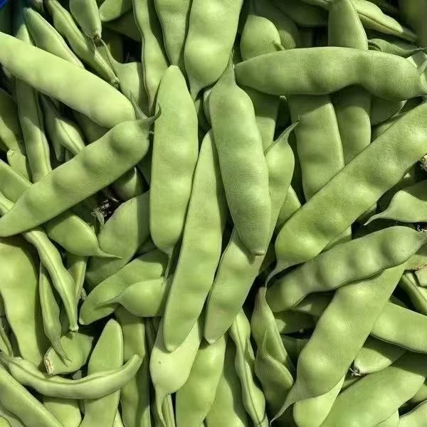 吉林特产东北油豆角开过就烂小豆角3斤5斤