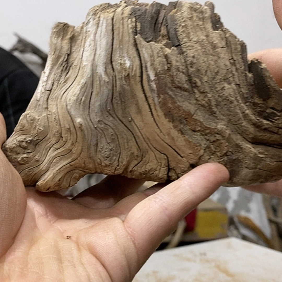 【闪购商品】柏木感*我们都是好孩子