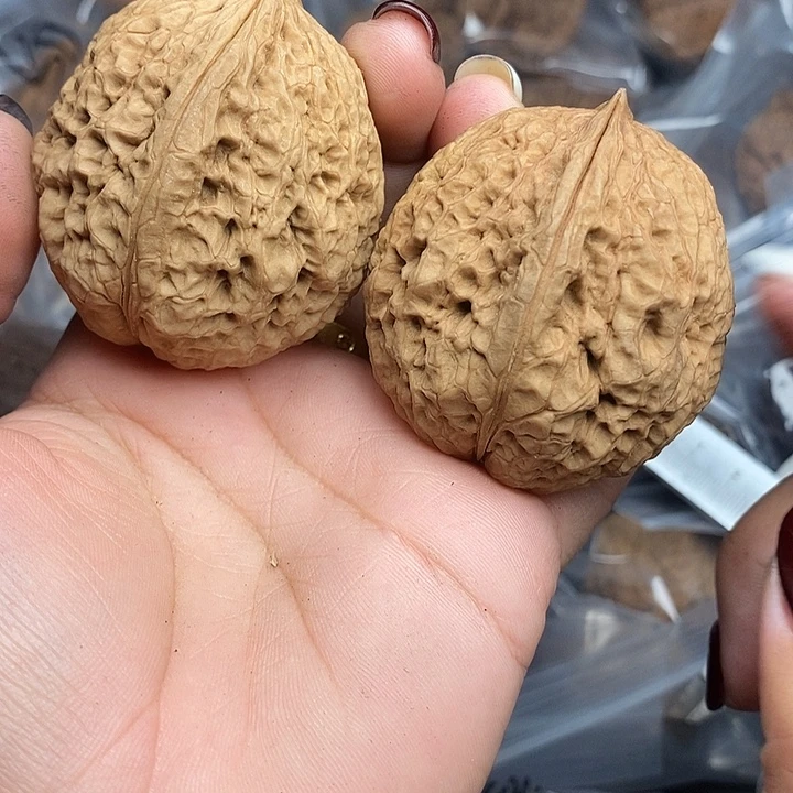 文玩核桃把件89号45mm