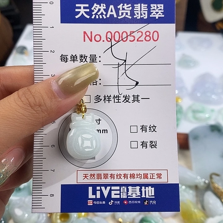 翡翠未镶嵌颈饰5280