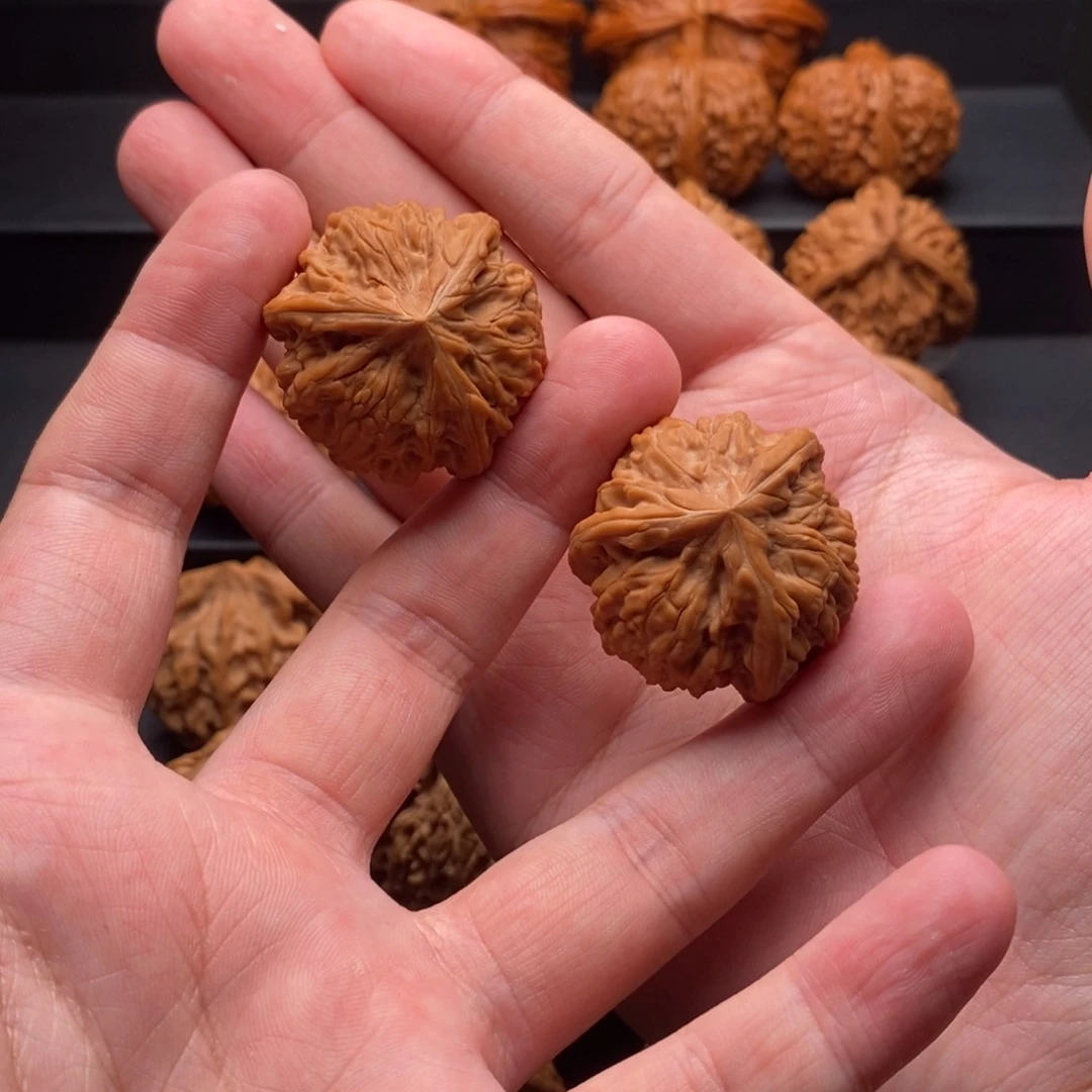 把件文玩核桃35尺全品御龙粗筋三棱手捻