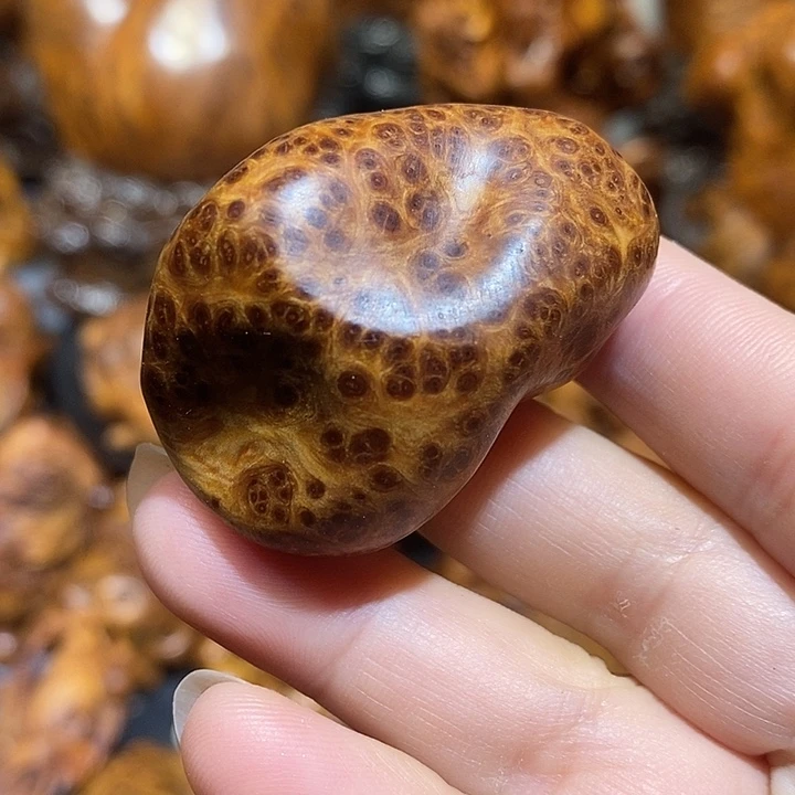 柏木太行崖柏陈化