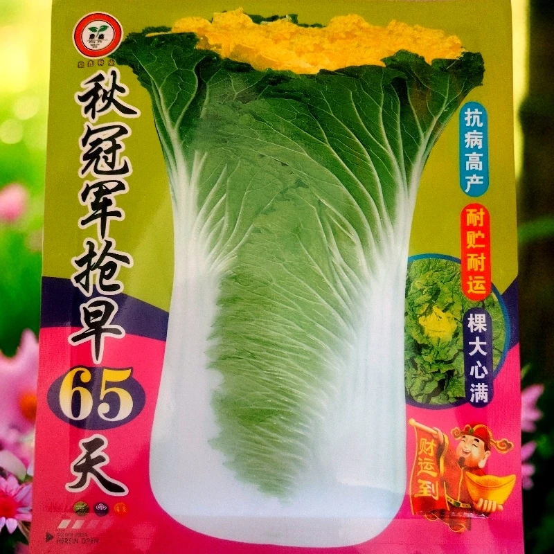 秋冠军抢早65天白菜籽