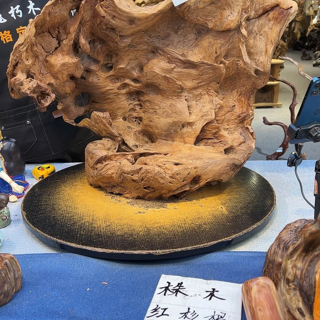 槐***序木014ggggggggvvvvv