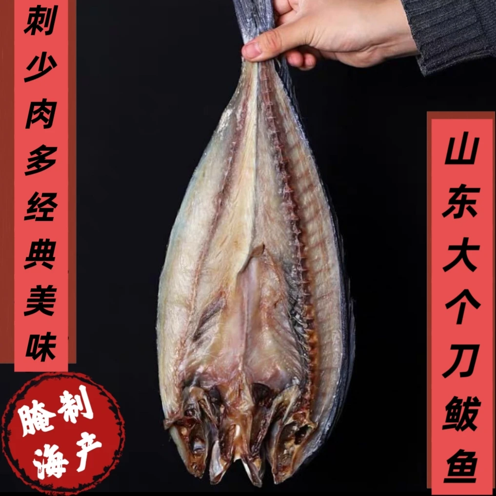 山东渤海湾刀鲅鱼咸鱼自晒开背咸香大个头圆头鲅鱼山东味道蒸炸煎