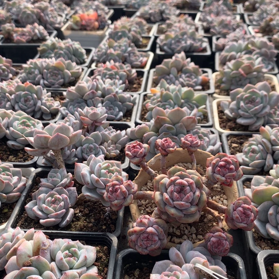 哈哈哈哈哈哈哈哈哈