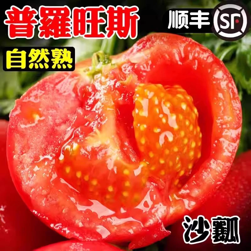 【顺丰现摘】陕西泾阳普罗旺斯西红柿自然熟现摘番茄5斤蔬菜生吃甜