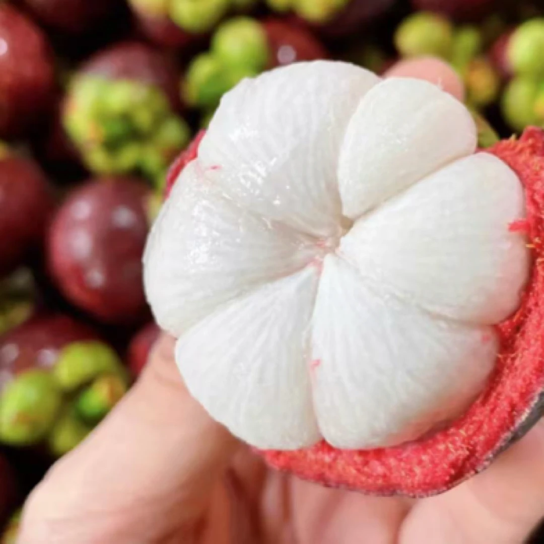 “竹”定是你-山竹（不低于500克）