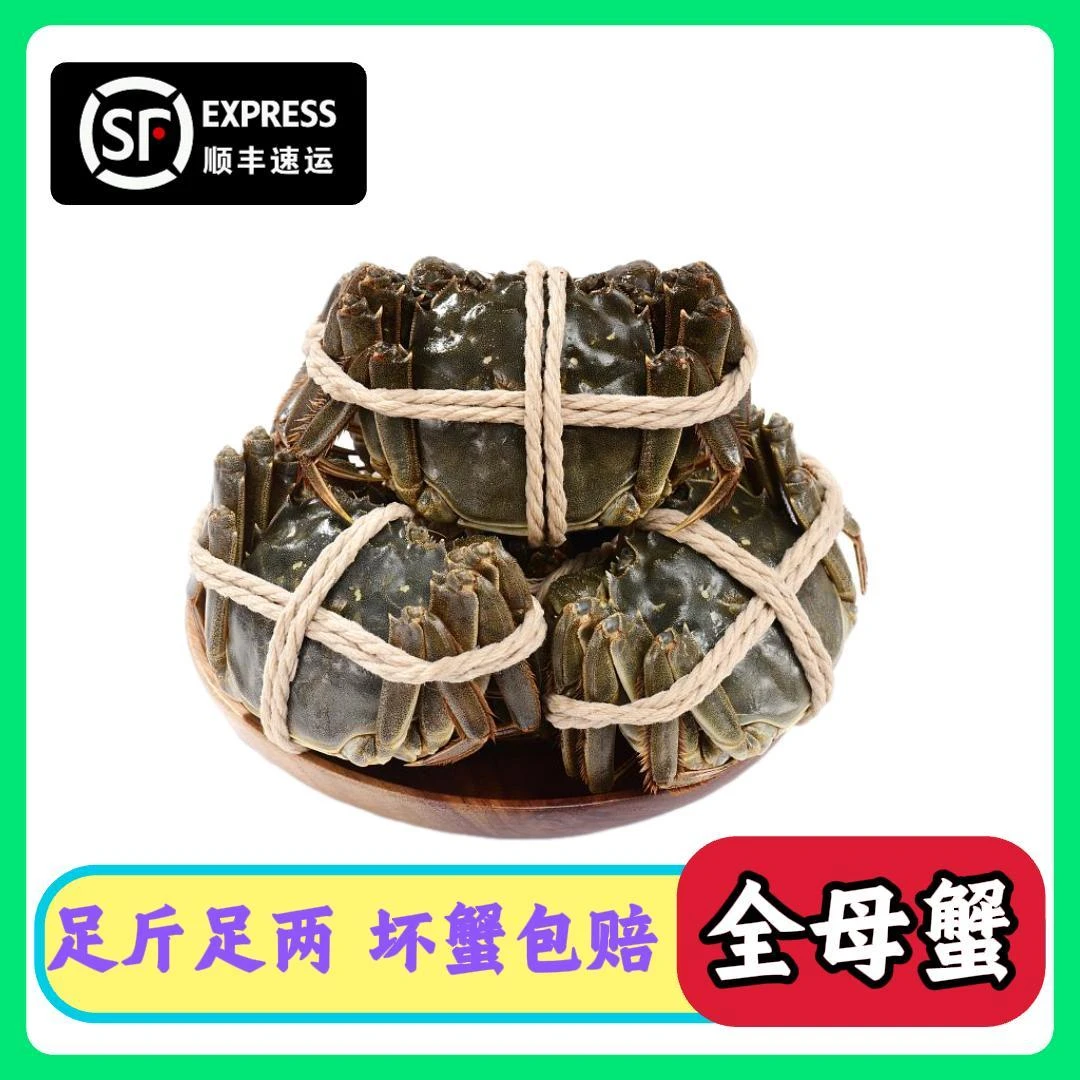 【满湖蟹】活蟹全母蟹2两 8/10只 苏州精品大闸蟹礼盒装K