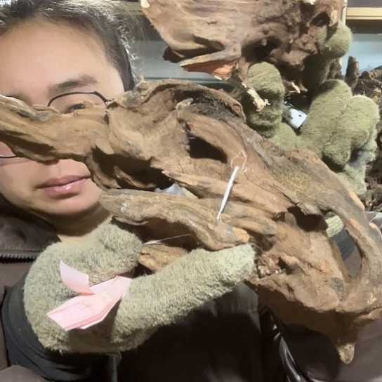 香榧木大*人火琉璃的毛料摆件