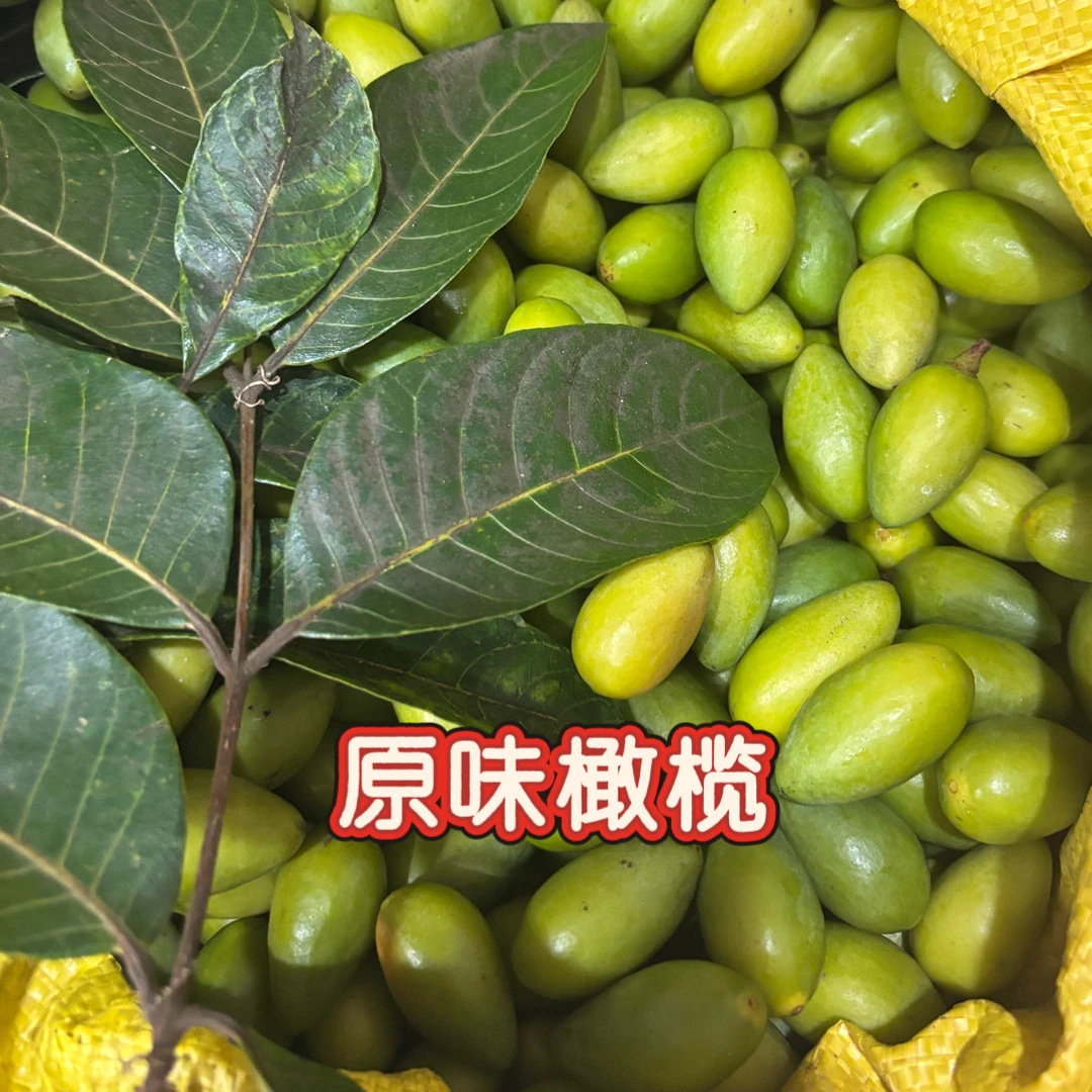 福建精品二号原味橄榄当季采摘生吃回甘炖汤