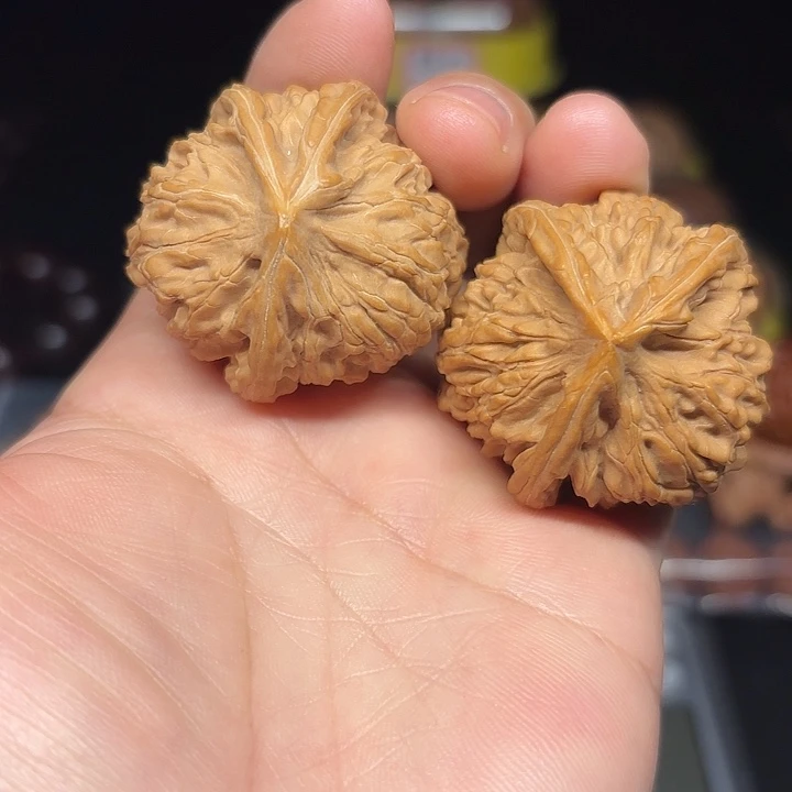 文玩核桃三棱子一