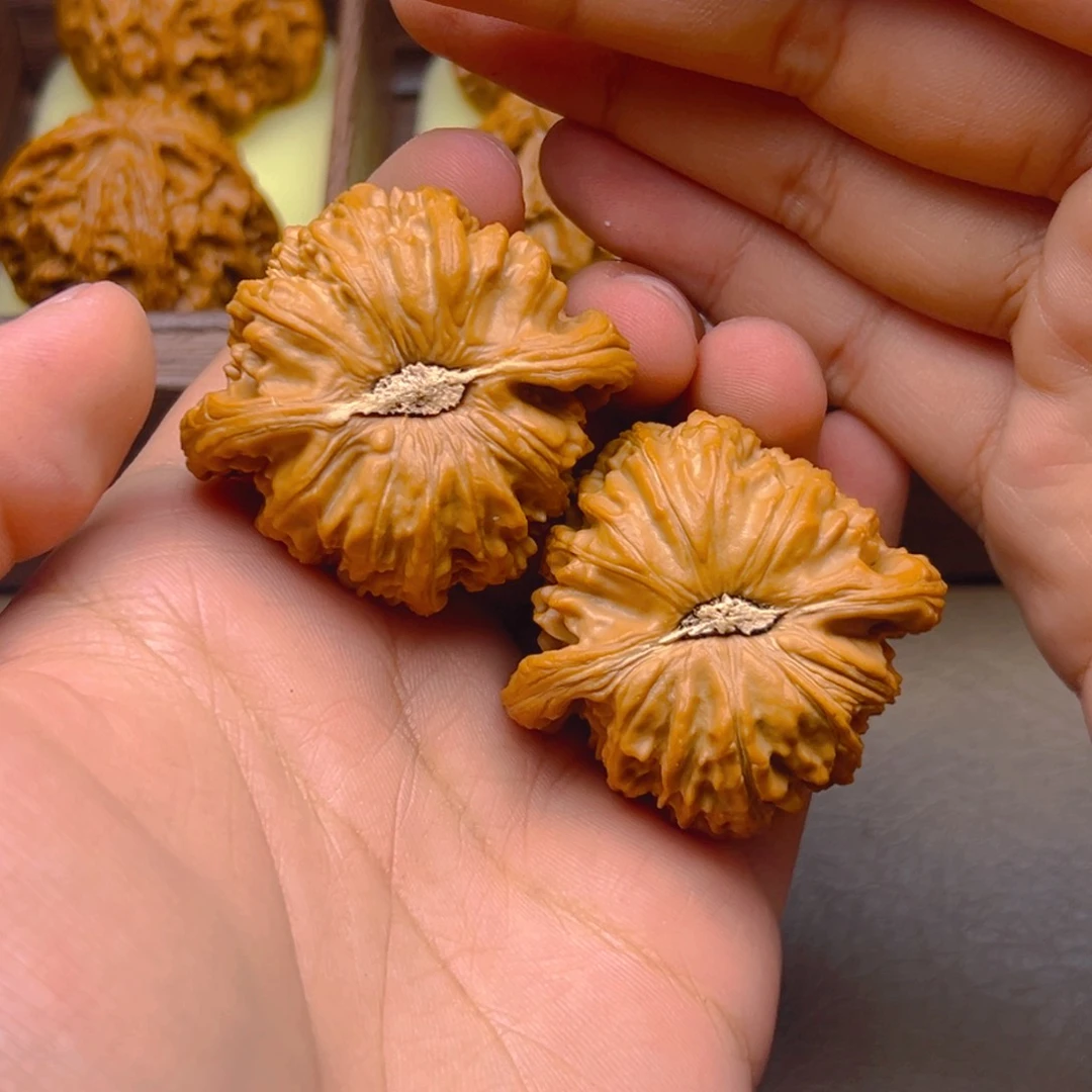 把件文玩核桃白狮子，有虚尖