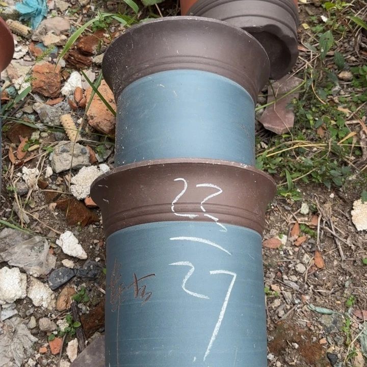 花盆紫砂紫砂的花